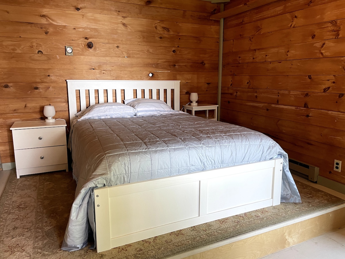 غرفة نوم ريفية في الطابق السفلي مع سرير بحجم متوسط