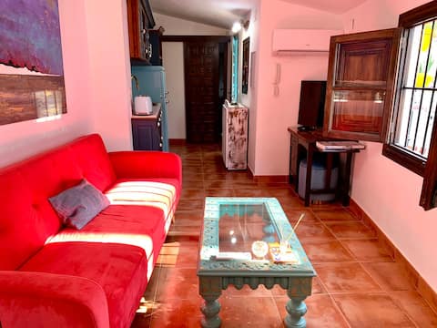 Successful Airbnb property: Casa Basilia, Mudejar Viewpoint Apartment in Granada