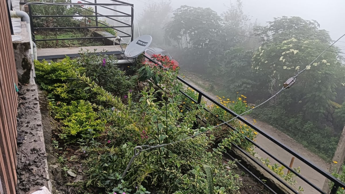 A well-maintained garden is visible on an outdoor terrace, featuring a variety of plants and flowers. A satellite dish is positioned on the railing, with a foggy landscape creating a serene backdrop. The pathway in the distance is lined with greenery.