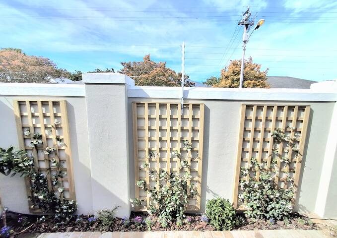 2D on Nansen gallery image 2