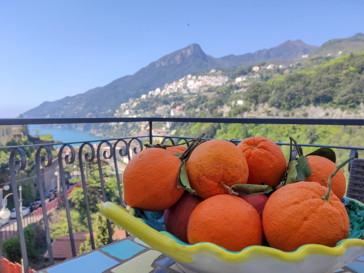 A vibrant bowl of oranges is positioned on a colorful table. In the background, scenic mountains and a clear blue sky frame the view of the coastline, highlighting the natural beauty of the area.