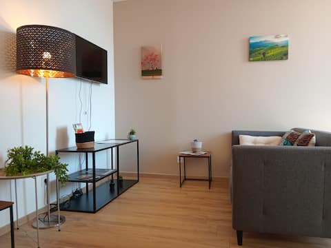 "Les Apparts de Marmande": Large Bright 2-Bedroom