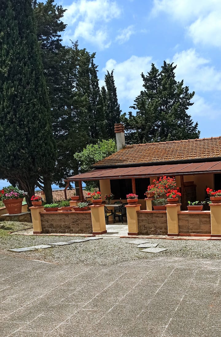 Casa Vacanze Le Rose - Bibbona