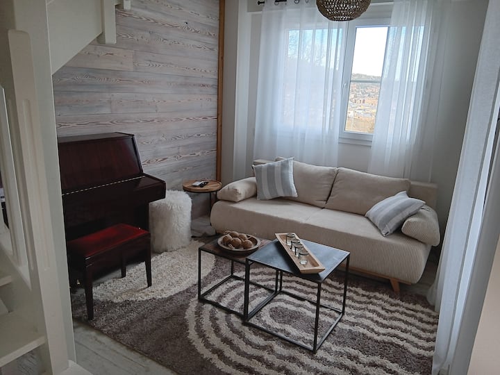 Deux Chalets Mitoyens Pour 12 Personnes - Les Angles
