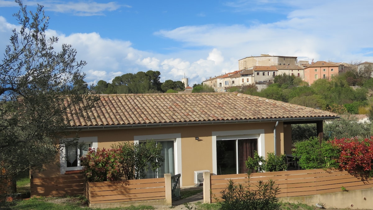 A single-story villa is presented with a tiled roof, surrounded by a garden featuring various greenery. Large windows offer natural light, while the peaceful village landscape and hills are visible in the background.