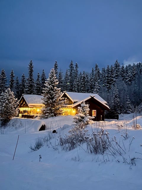 Cosy mountain cabin