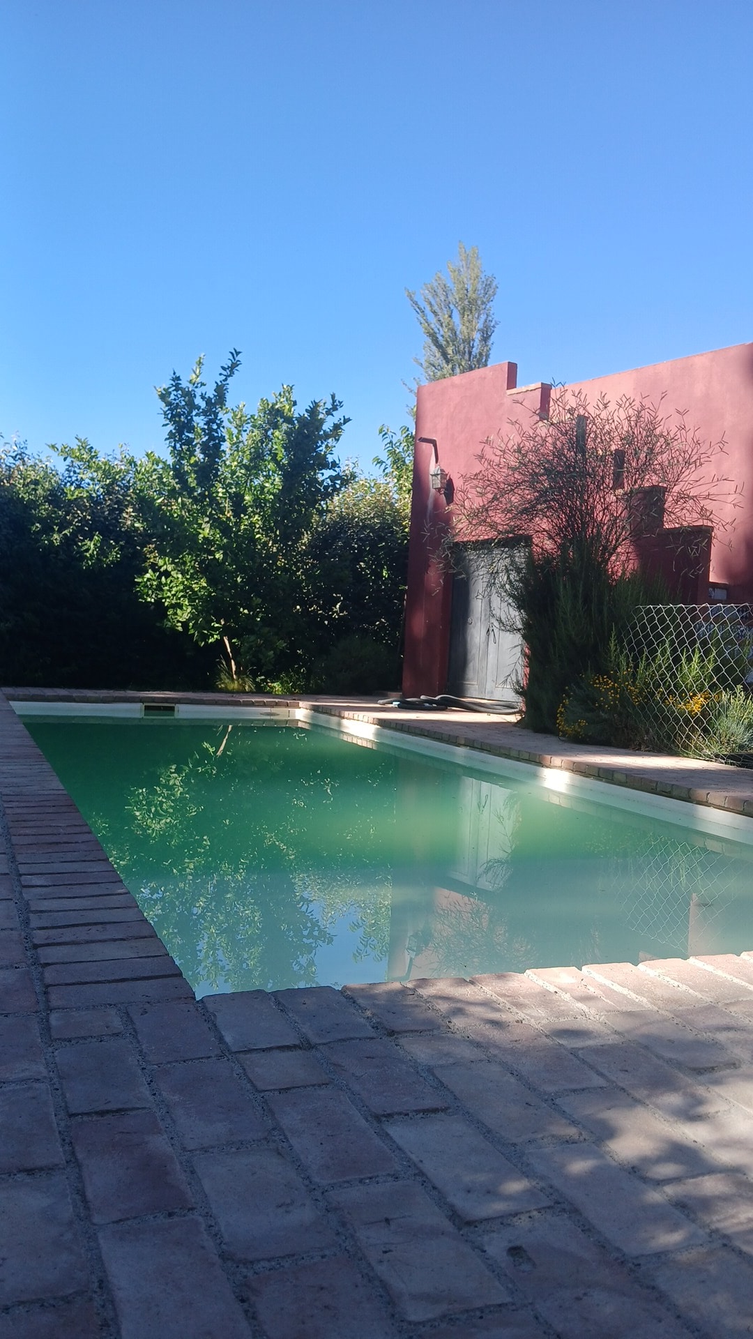 A swimming pool is framed by a brick patio, surrounded by lush greenery and trees. A vibrant red wall is visible in the background, complementing the clear blue sky overhead.