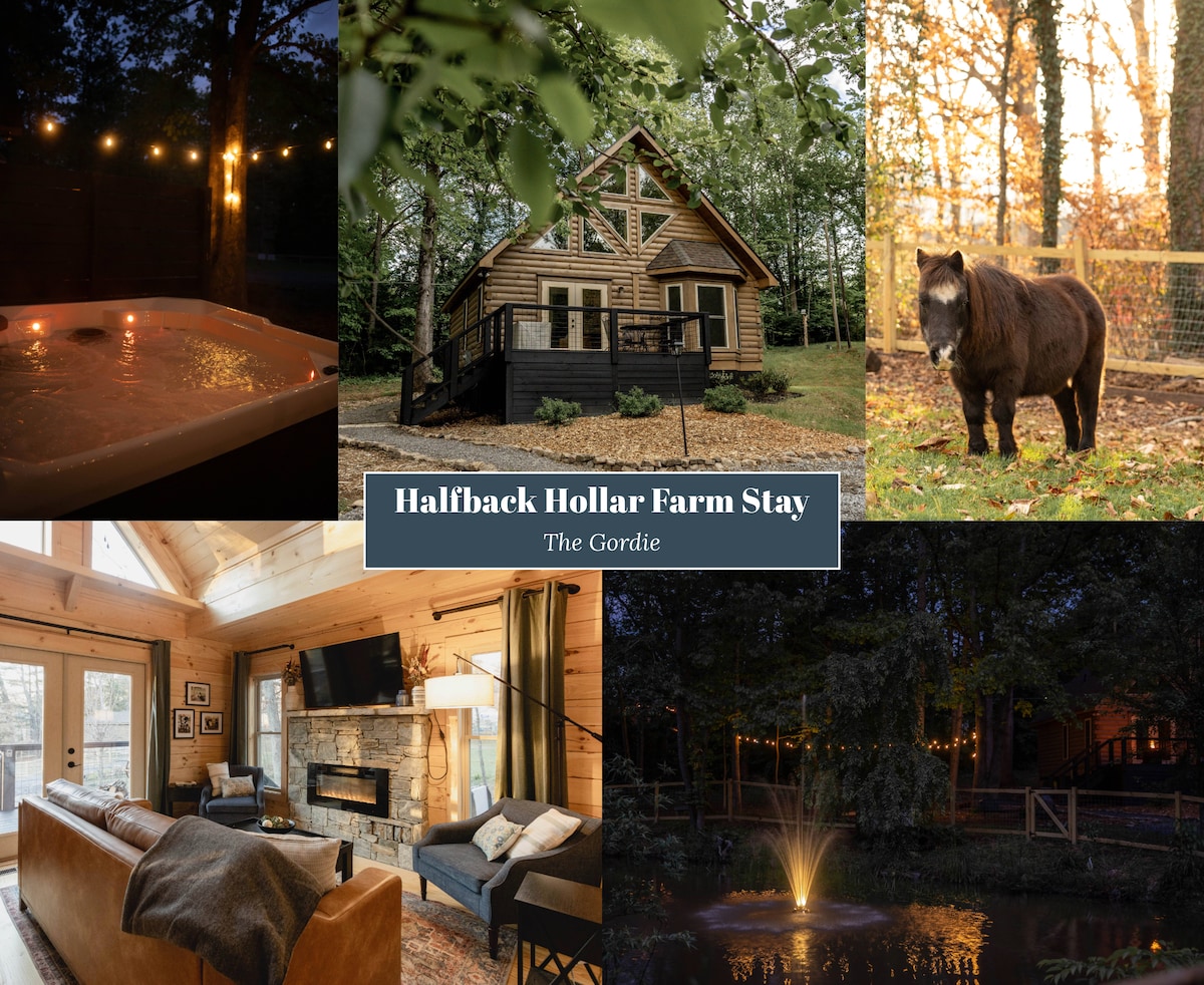 A log cabin with a warm wooden facade is set amidst trees, featuring a private hot tub with twinkling lights. A mini pony grazes nearby, while a tranquil pond gently reflects nearby foliage, providing a serene atmosphere. The interior includes a comfortable seating area with a stone fireplace.