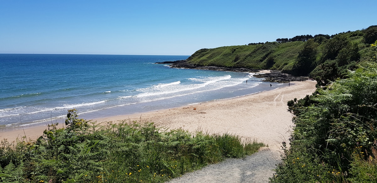 A tranquil beach scene is depicted, featuring soft golden sand meeting gently rolling waves. Lush green hillsides frame the coastline, while the clear blue sky stretches overhead, enhancing the serene atmosphere. A pathway leading to the beach is lined with grasses and wildflowers.