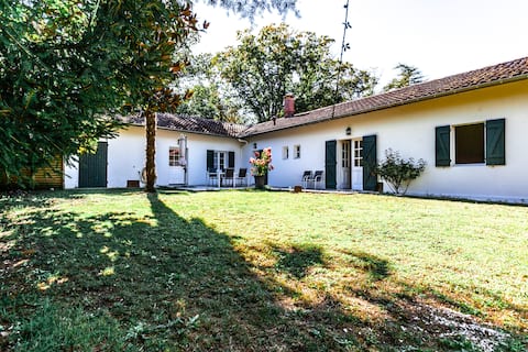 Beautiful house, private forest by the lake