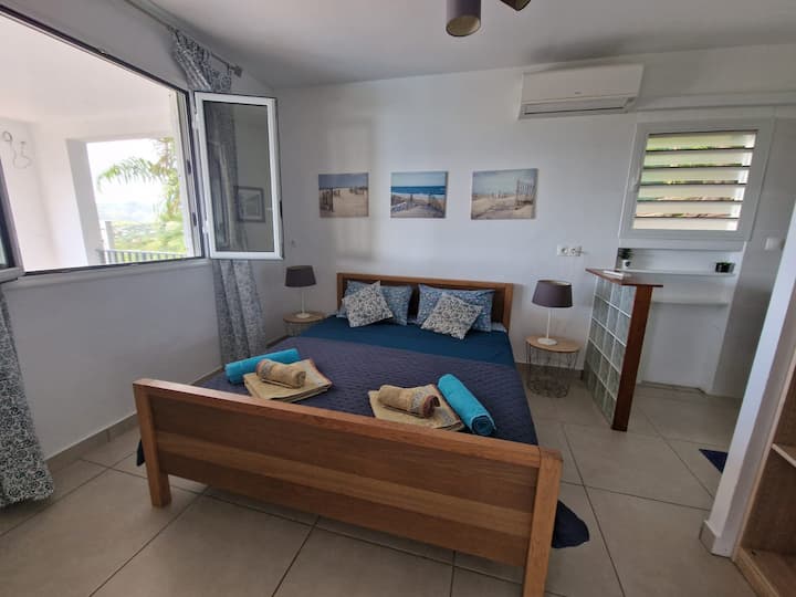 Habitación con cama queen size (160 cm), vistas al mar, aire acondicionado, armario y cuarto de baño.