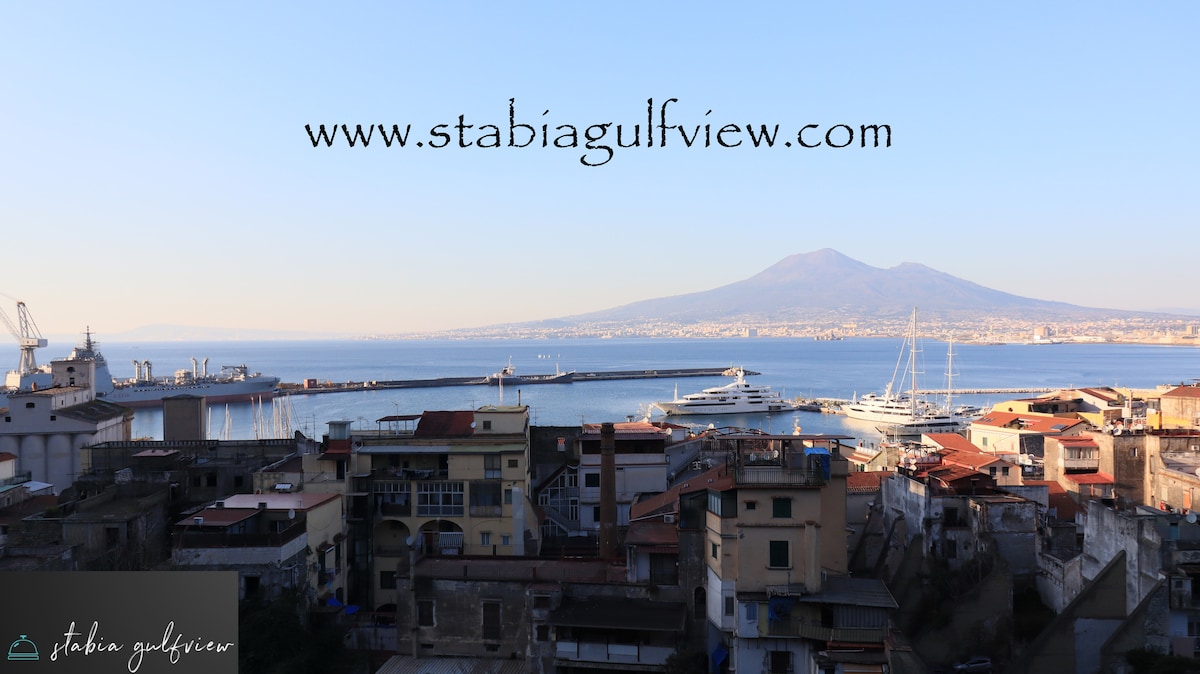 A panoramic view captures the vibrant colors of the coastal town, with the harbor visible and several boats gently bobbing on the water. In the background, Mount Vesuvius towers over the landscape, framed by a clear sky reflecting the calmness of the Gulf of Naples.