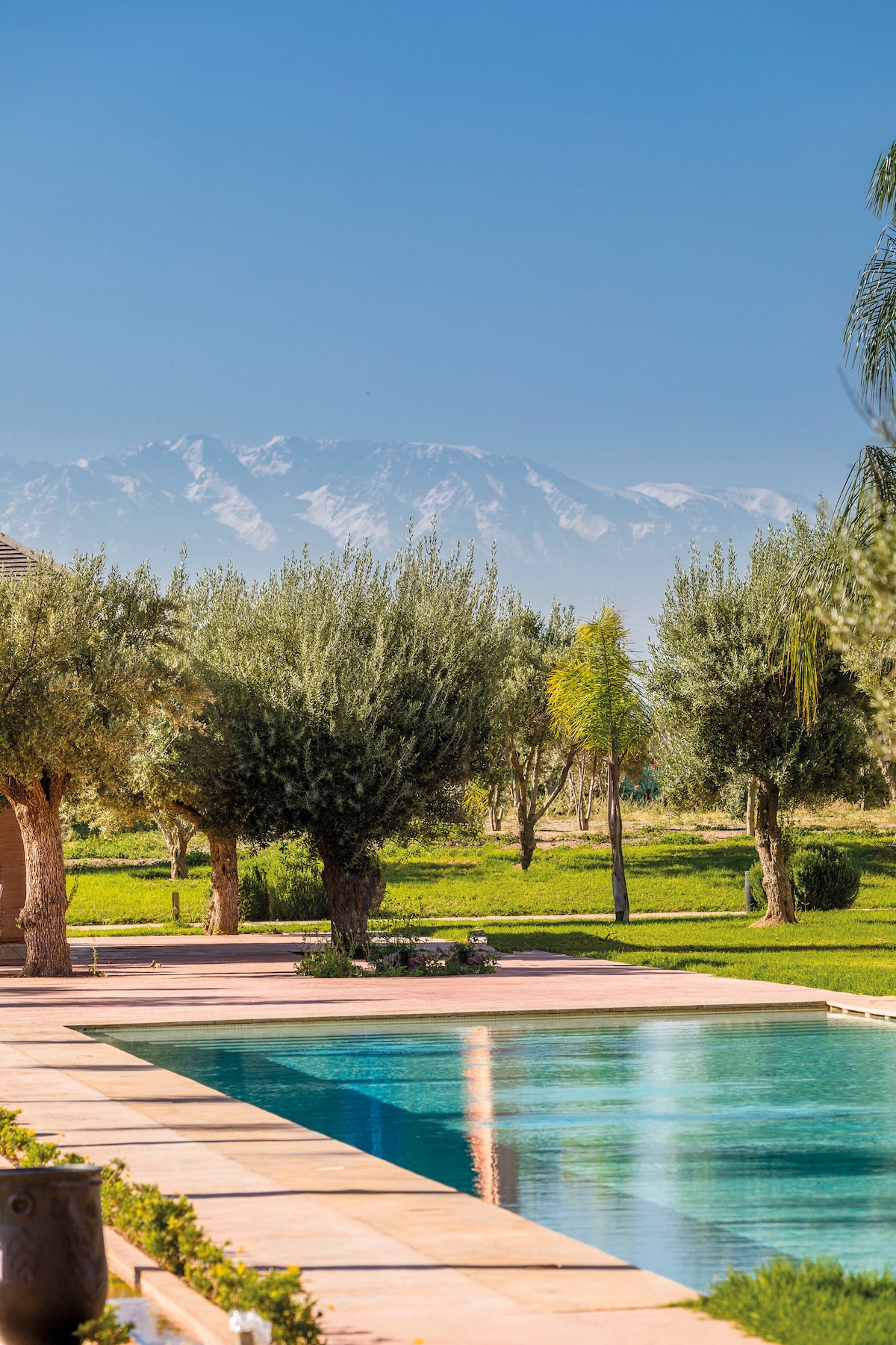 A serene view of a shimmering pool surrounded by lush greenery and olive trees. In the background, snow-capped mountains create a picturesque horizon under a clear blue sky.