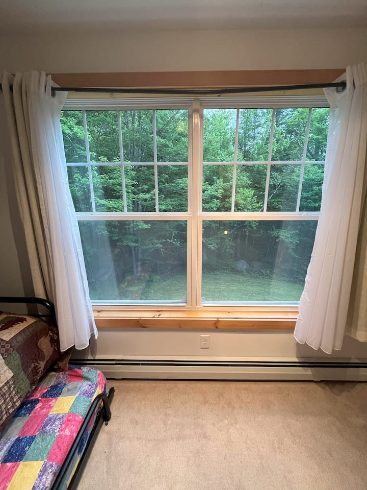 Pamje të bukura të oborrit të pasmë dhe pyllit