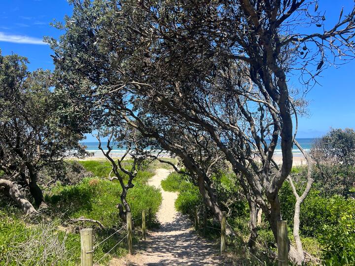 A sandy path winds through lush greenery and low trees leading to a beach. Sunlight filters through the branches, and the ocean can be seen in the distance, framed by the foliage. The scene conveys a sense of tranquility and natural beauty.