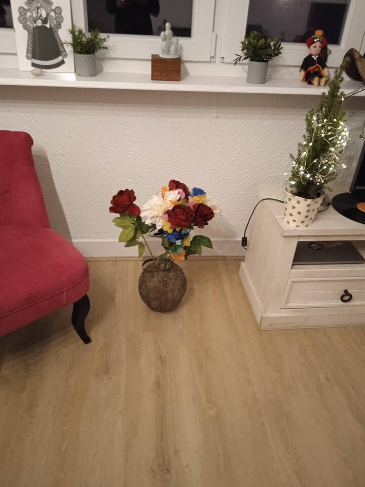 Belle Chambre Dans 80 M2 - Estrasburgo