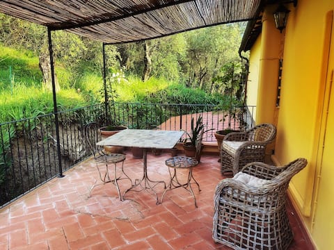 Tuscan country apartment in a lovely olive grove