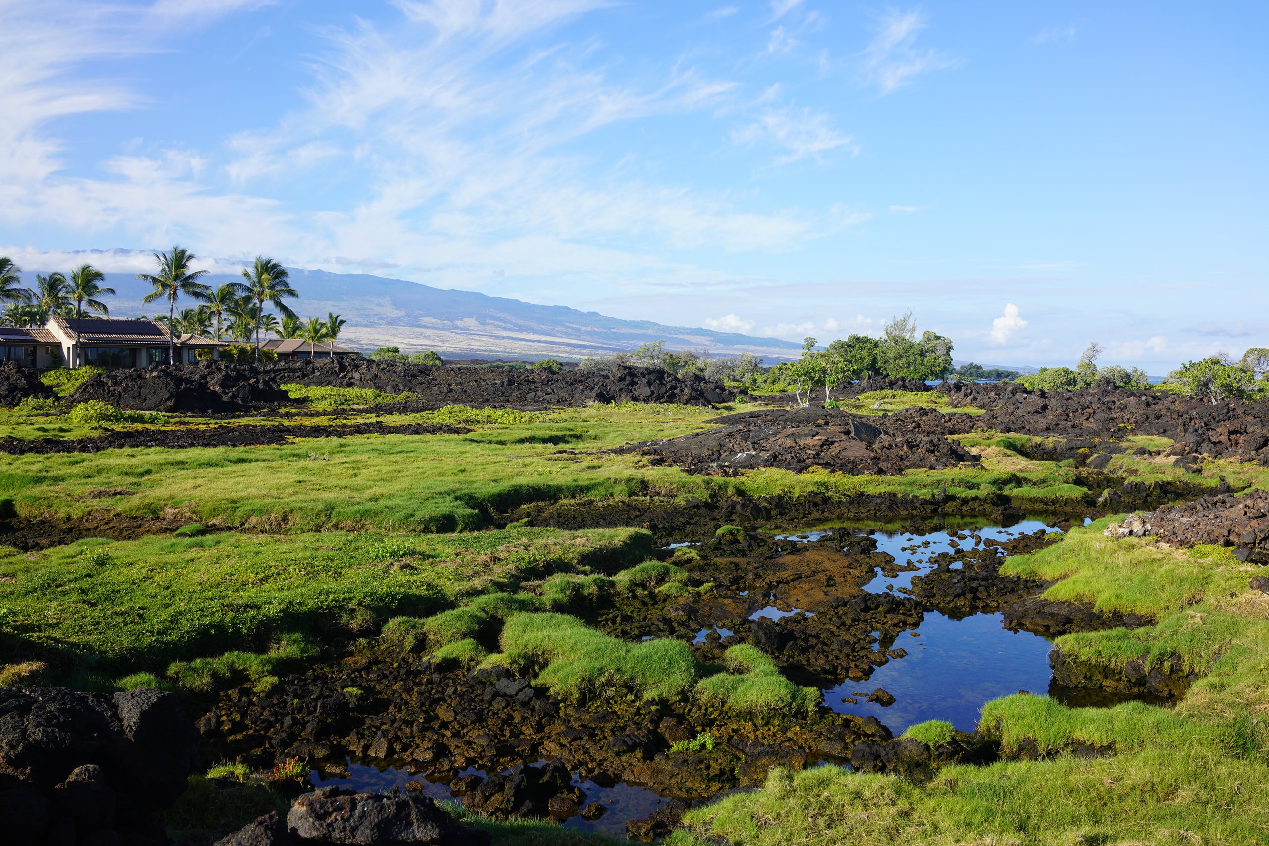 Condo in Waikoloa Beach Resort · ★4.96 · 2 bedrooms · 4 beds · 2.5 baths - Photo 65