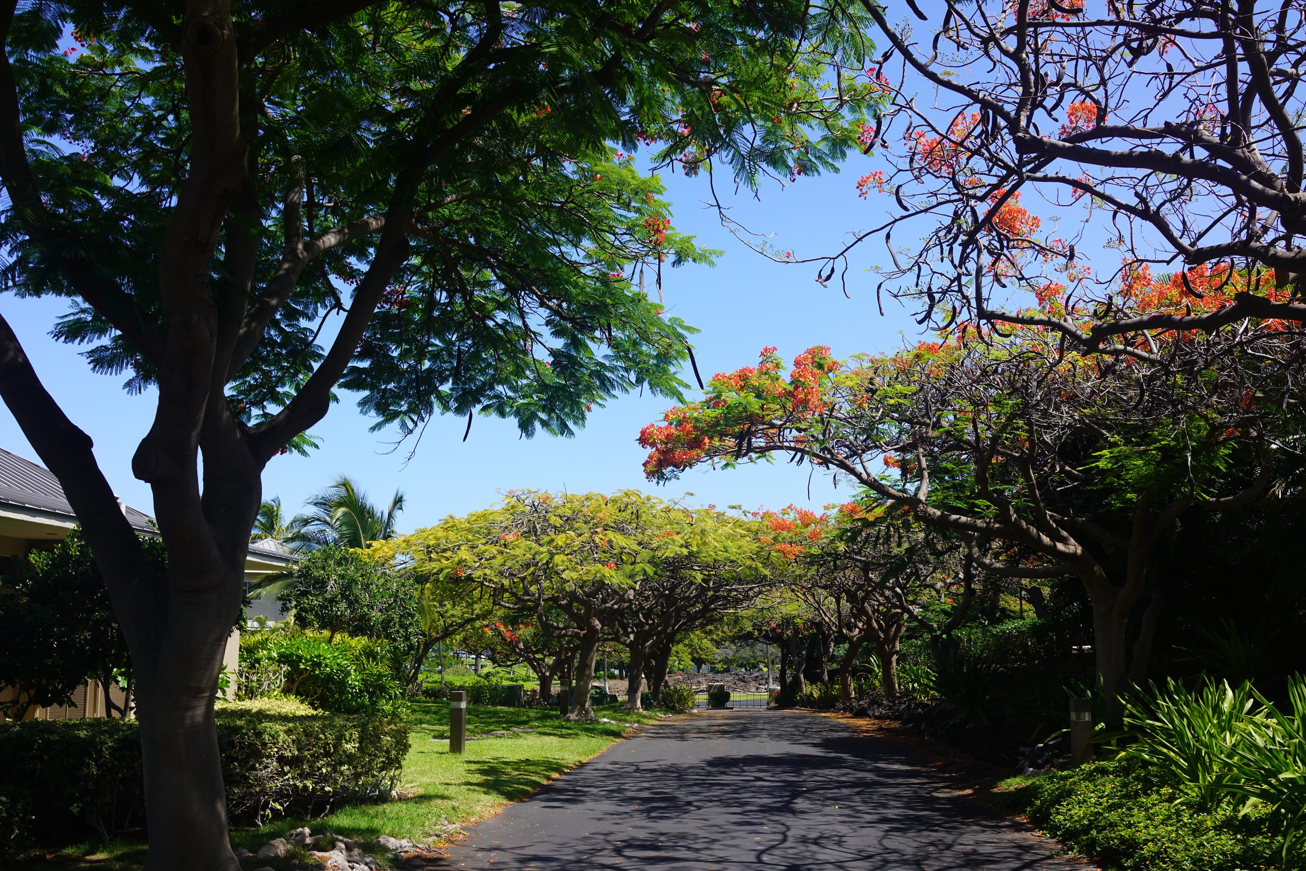 Condo in Waikoloa Beach Resort · ★4.96 · 2 bedrooms · 4 beds · 2.5 baths - Photo 62