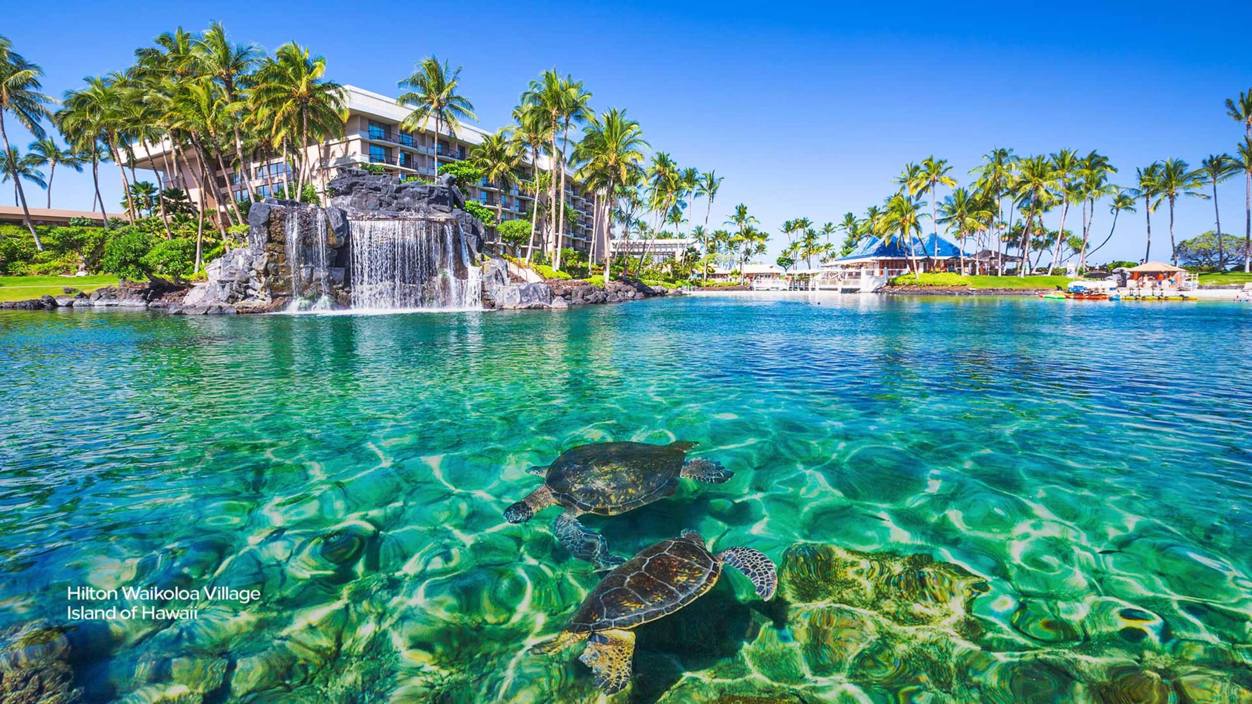 Condo in Waikoloa Beach Resort · ★4.96 · 2 bedrooms · 4 beds · 2.5 baths - Photo 58