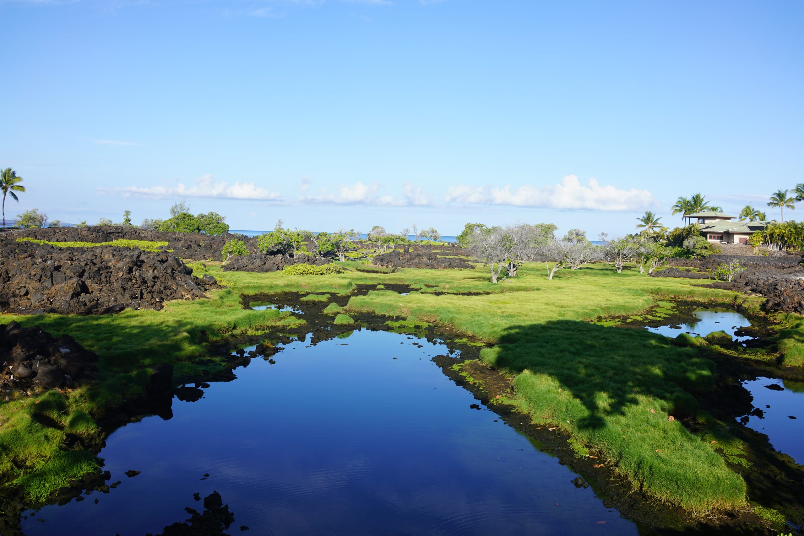 Condo in Waikoloa Beach Resort · ★4.96 · 2 bedrooms · 4 beds · 2.5 baths - Photo 59