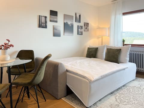 Popular Airbnb listing: View, balcony and tranquility | Villa Hubertus in Feldberg (Schwarzwald)