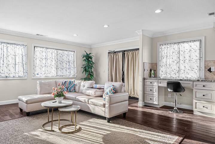 SJ downtown 5 BR stunning house gallery image 3