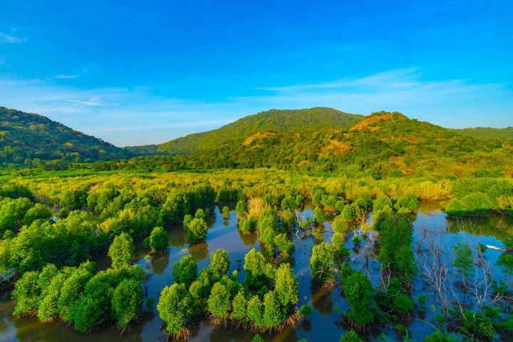 รูป 2 ห้องนอน ชายหาดส่วนตัว Wi-Fi 500 Mbps ป่าโกงกาง 1