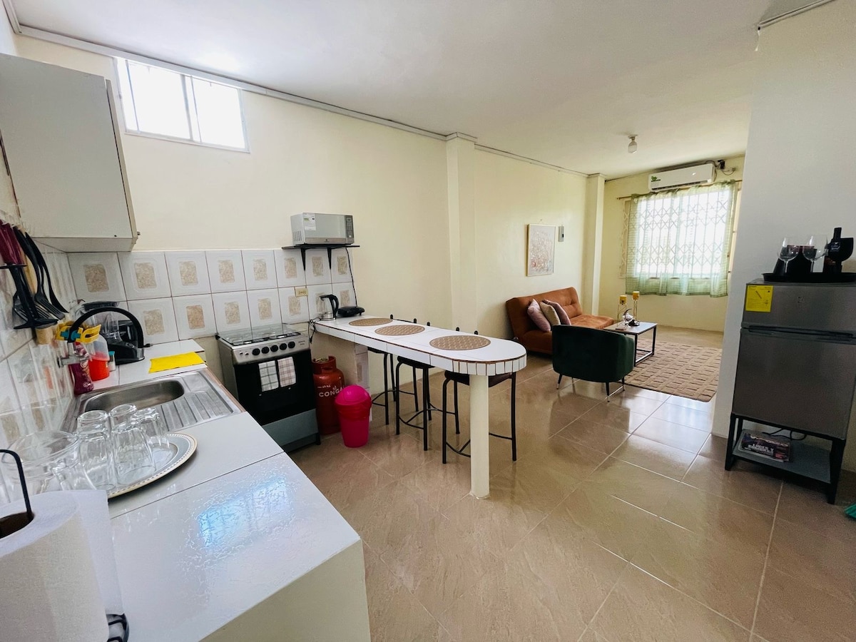 The open kitchen features a compact layout with a stove, microwave, and sink, complemented by a dining area with high chairs. A living space with a leather armchair and a light rug is illuminated by natural light from a nearby window with sheer curtains.