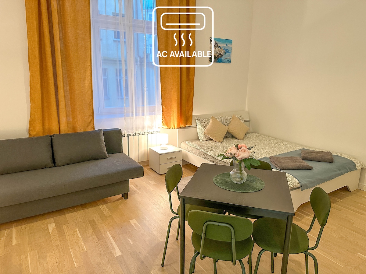 The main room features a foldable sofa bed alongside a spacious, standard sofa. A dining table with four green chairs occupies the center, while large windows are adorned with elegant curtains, allowing natural light to illuminate the warm wooden floor.