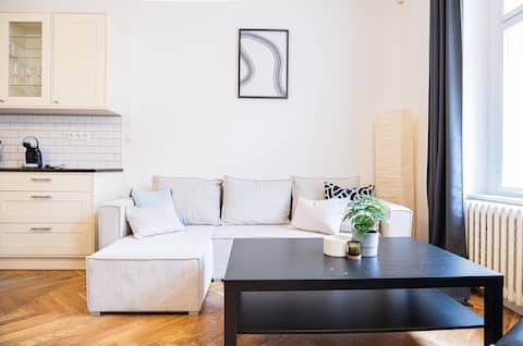 Spacious quiet APT · Near Prague Castle