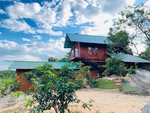 Lion Wood Treehouse No 2