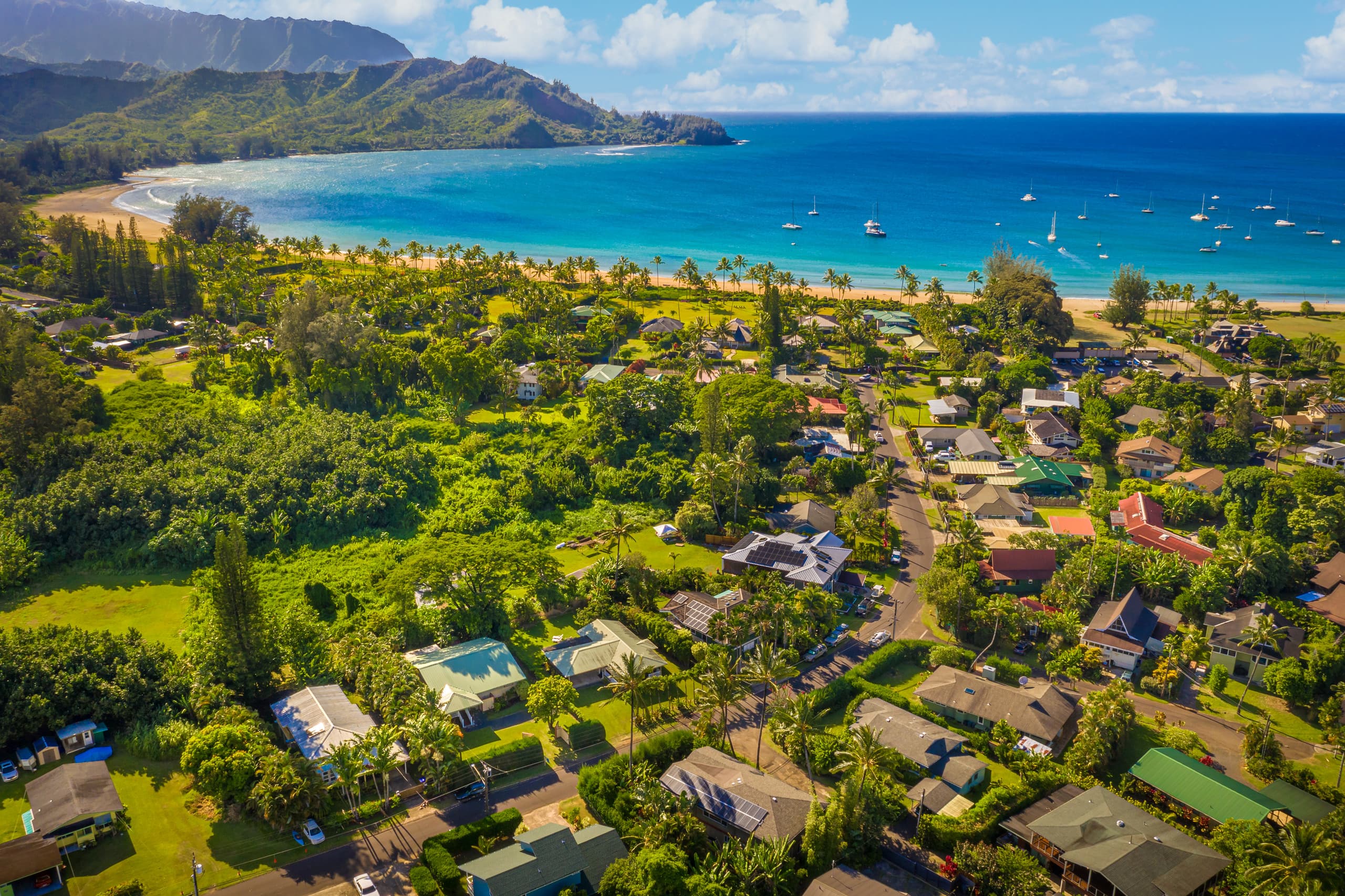 Home in Hanalei · ★4.98 · 3 bedrooms · 3 beds · 3 baths - Image 29