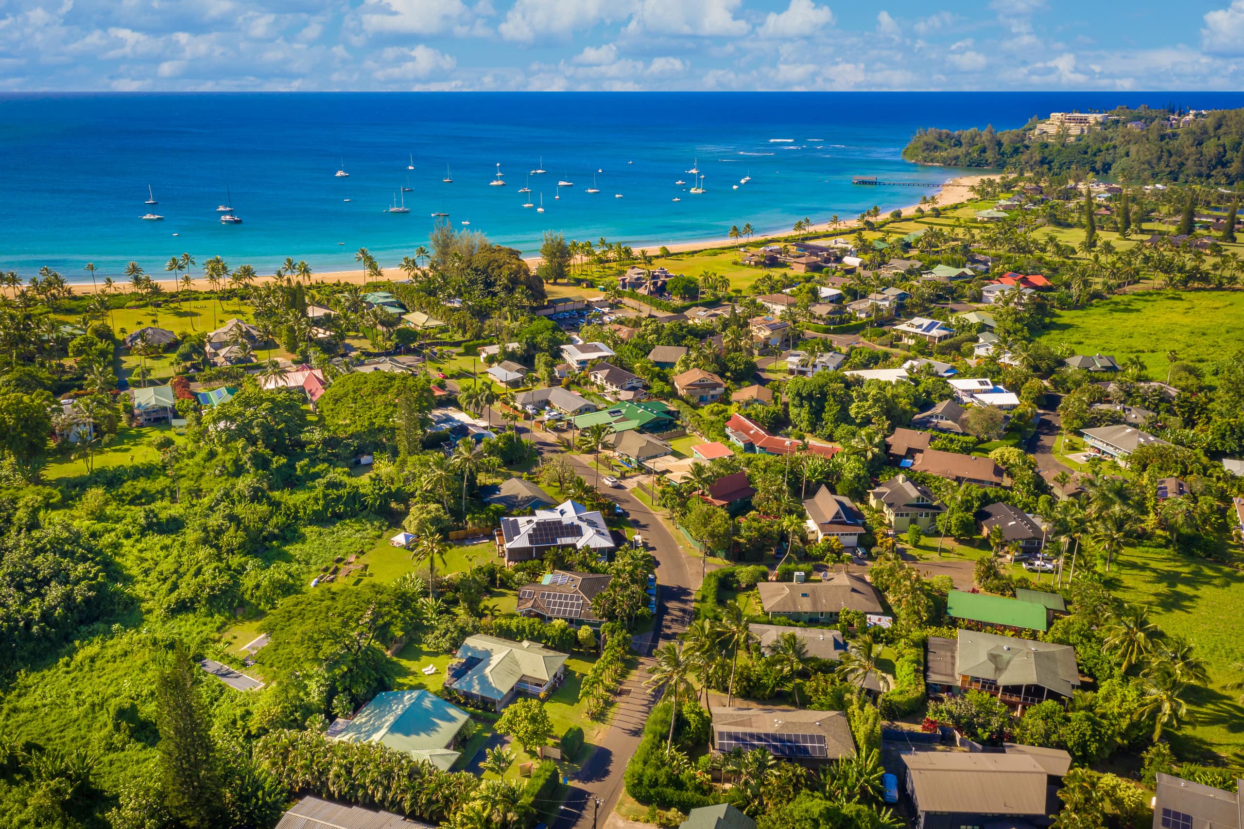 Home in Hanalei · ★4.98 · 3 bedrooms · 3 beds · 3 baths - Image 28