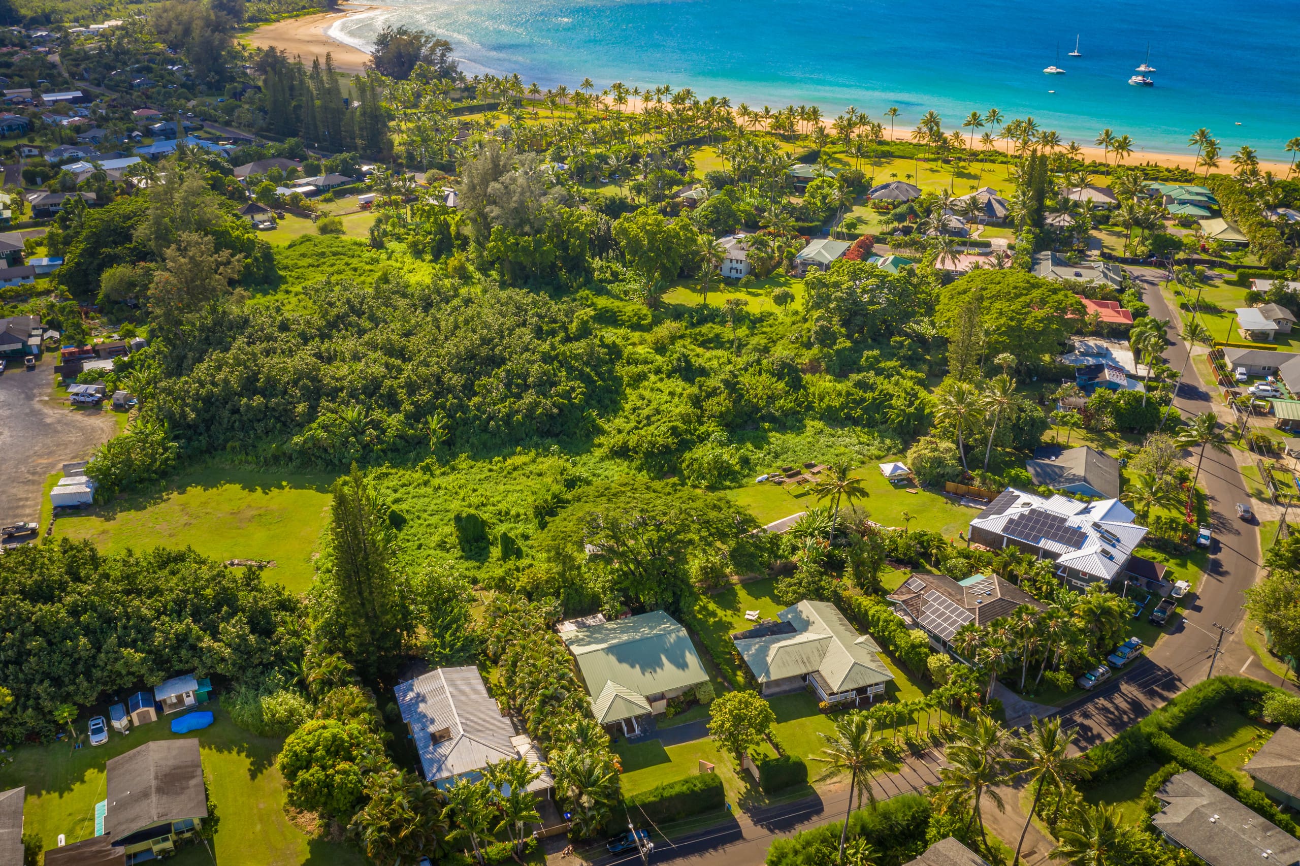 Home in Hanalei · ★4.98 · 3 bedrooms · 3 beds · 3 baths - Image 27