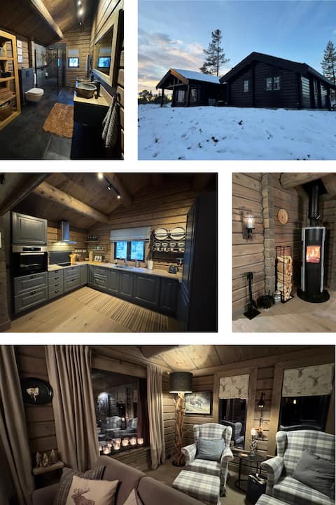 Nice cabin in Stor-Elvdal for rent