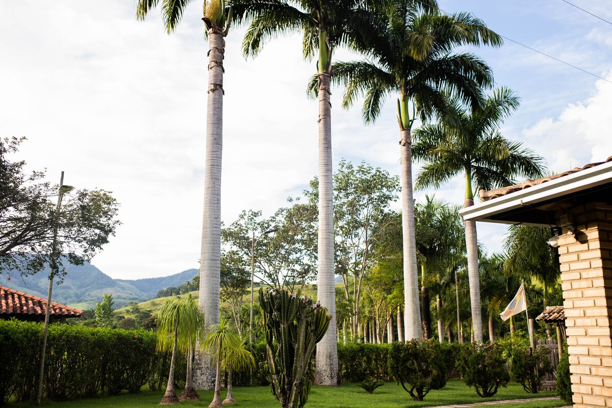 Tall palm trees are framed against a backdrop of rolling hills and a clear sky. Lush greenery and manicured hedges outline the well-kept garden, while a portion of the house is visible on the right, featuring a tiled roof.