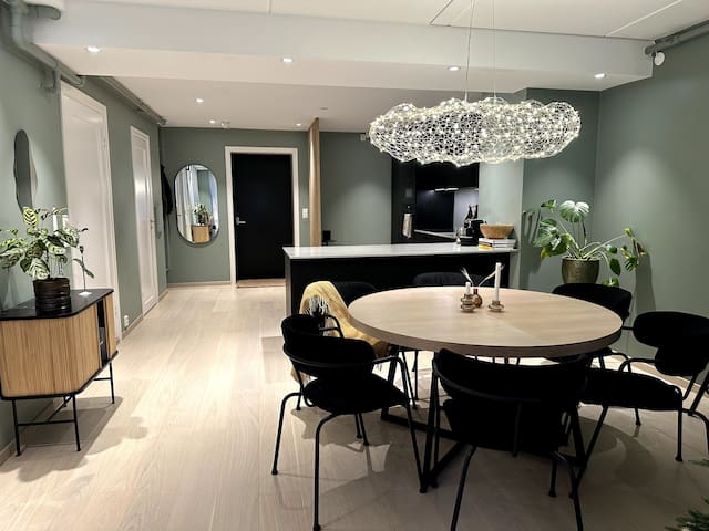 Moderne leilighet med med byens beste takterrasse