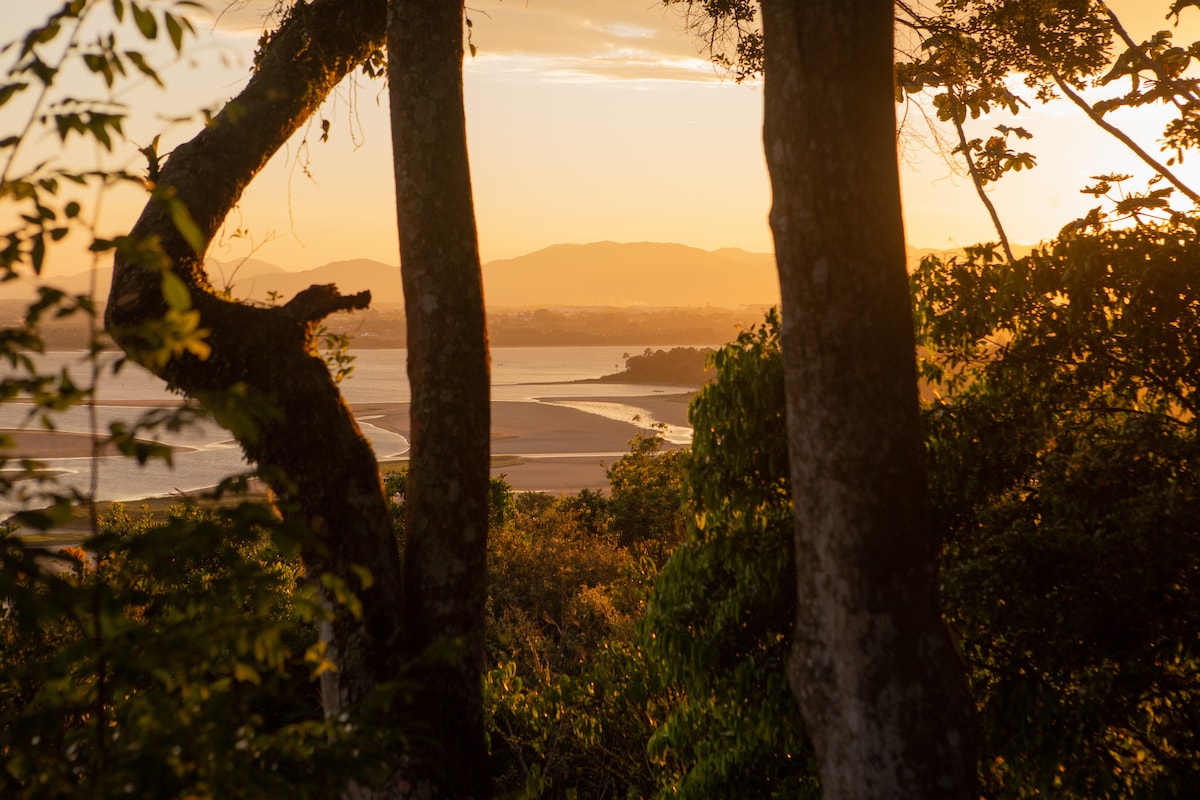 Golden sunlight filters through the trees, illuminating a serene landscape. A body of water can be seen in the distance, framed by hills under a clear sky. The natural surroundings evoke a sense of peace and connection with nature.