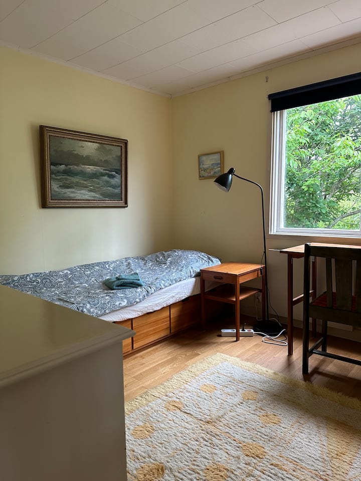 Спалня 2 Единично легло 80*200 см, детски игри в чекмеджета, работна маса и разтегателен диван