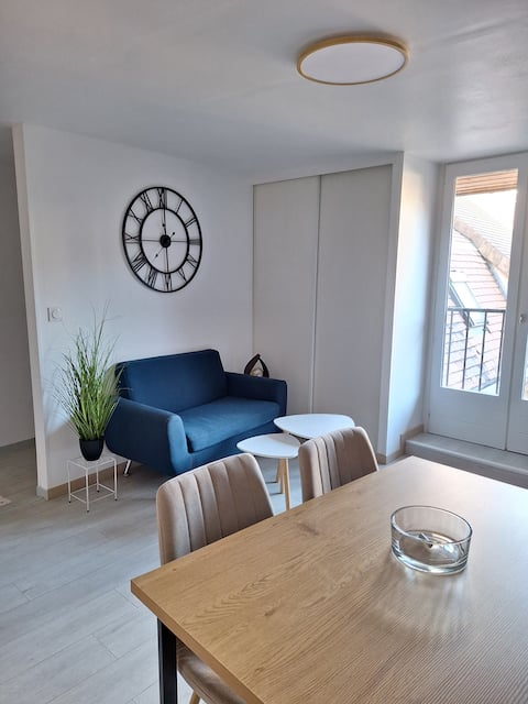 Top performing Airbnb: Quiet Studio in the Center in Lons Le Saunier