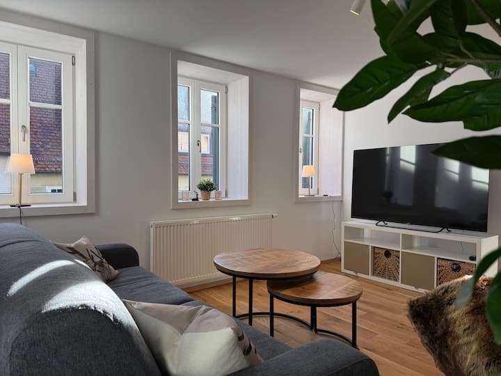 The Terrace: Rooftop Apartment At The City-center - Freudenstadt