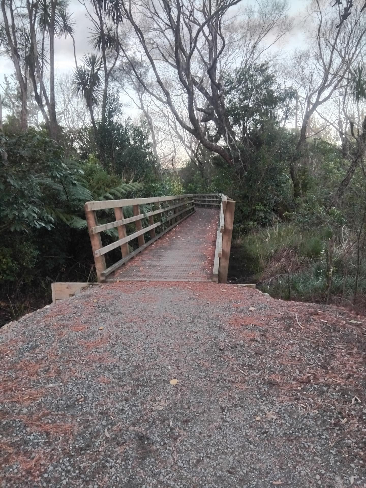 Featherston
Woodward Cabin
Include Hired Ebikes 2