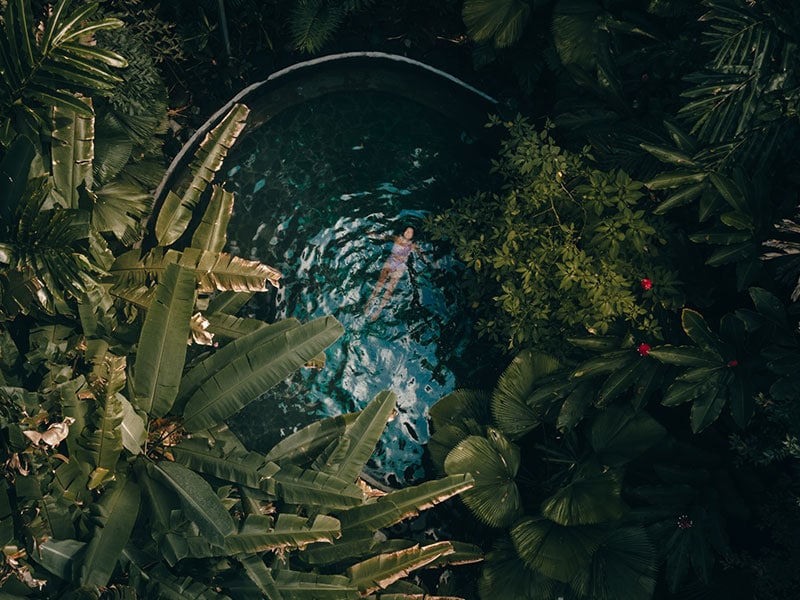 An overhead view captures a rejuvenating jacuzzi surrounded by lush tropical foliage. Various plants and leaves create a natural frame, enhancing the serene ambiance of the secluded space, with shimmering water reflecting the surrounding greenery.