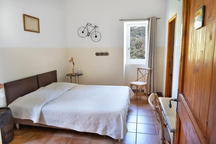 Gran suite con cama grande o 2 camas pequeñas. Baño y aseo privados