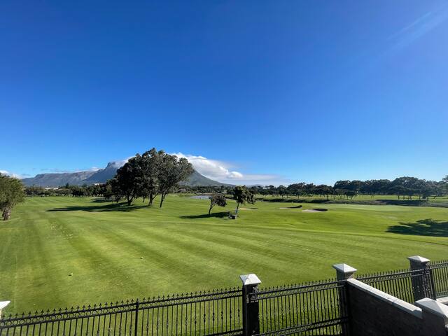 Cape Town Table Mountain Views – African Aloe gallery image 3