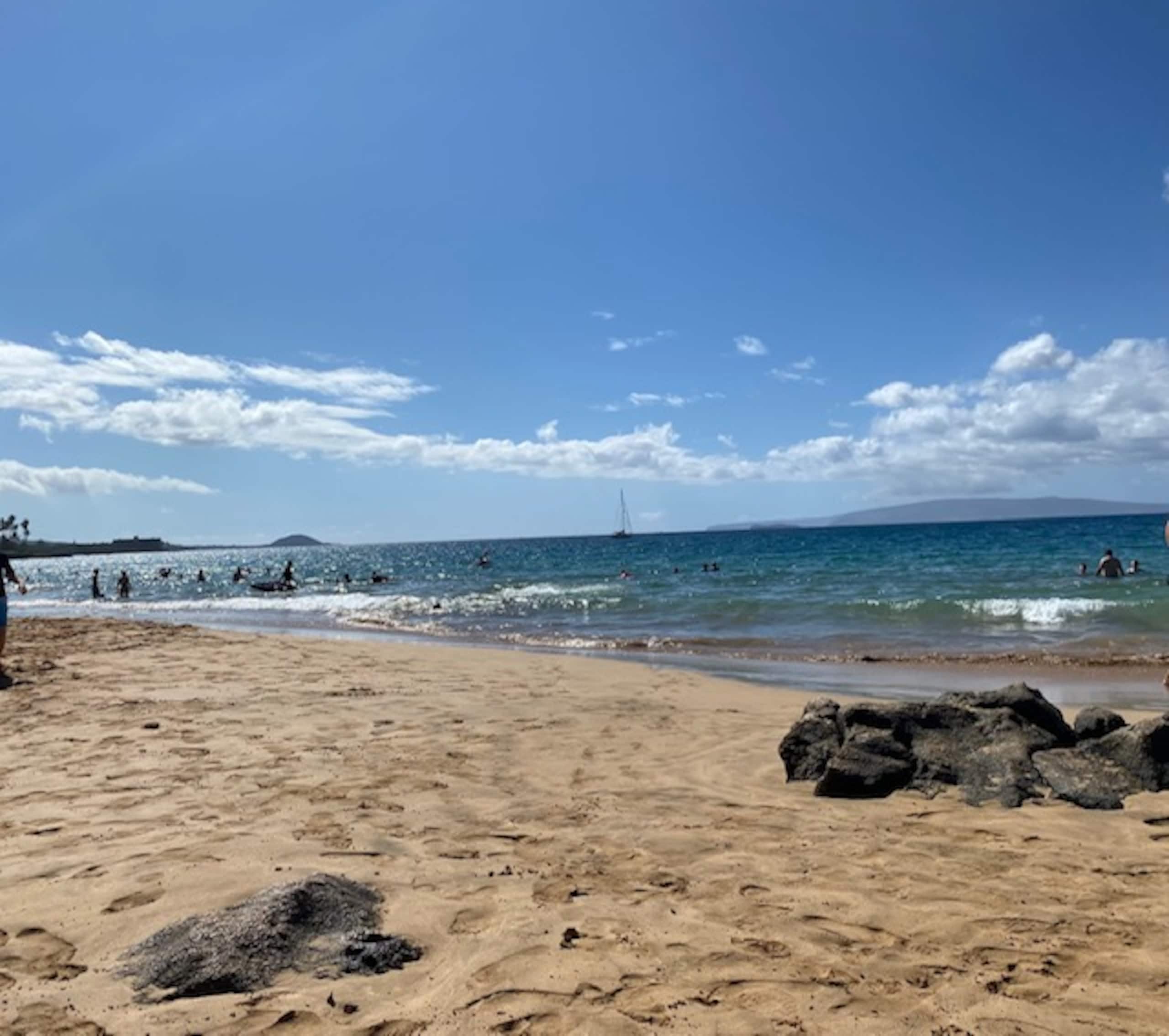 Condo in Kihei · ★4.9 · 2 bedrooms · 3 beds · 2 baths - Image 27