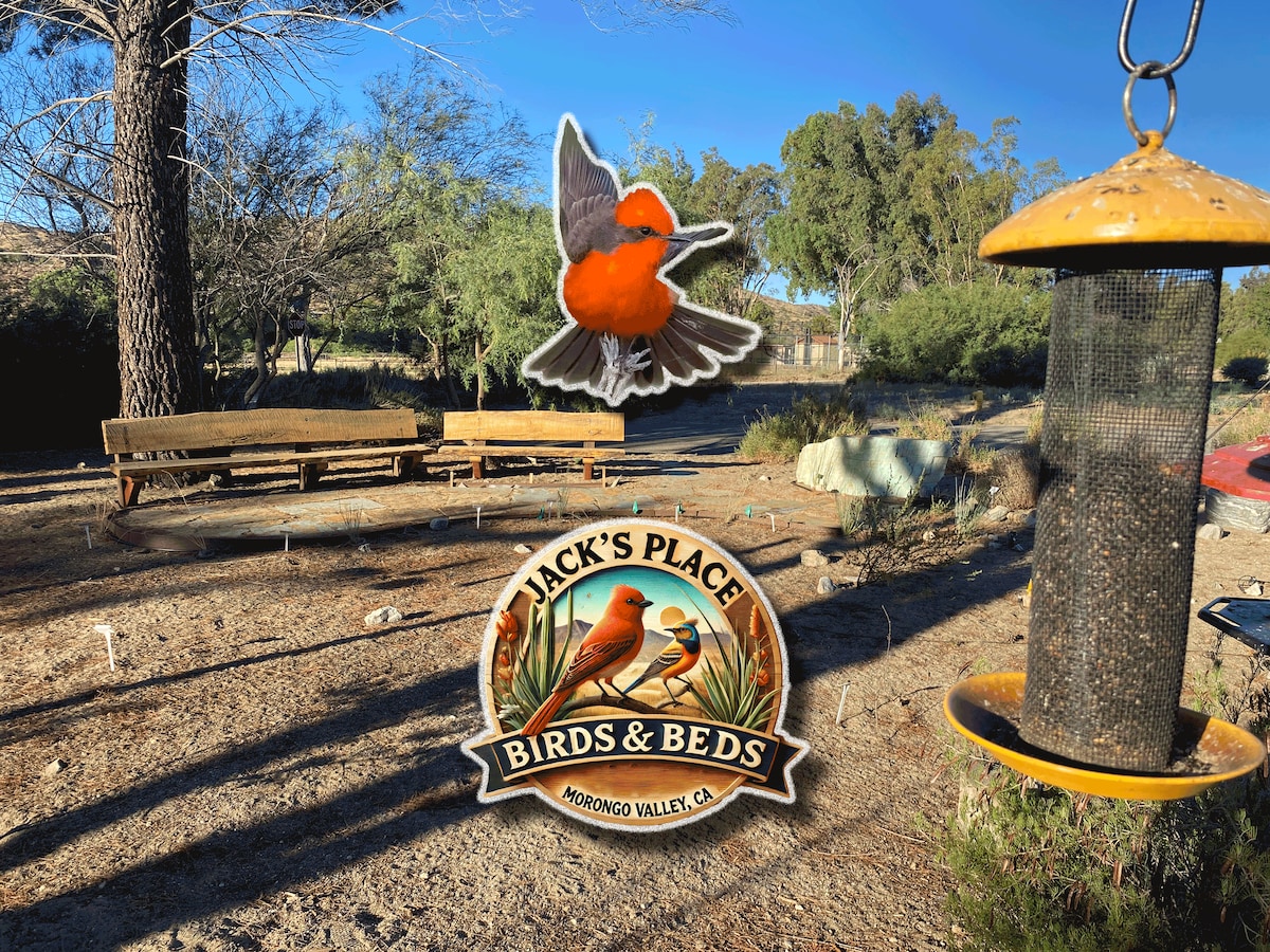 A serene outdoor space is highlighted, featuring a bird feeder hanging near a rustic bench area. Native vegetation surrounds the area, providing a natural habitat for local wildlife. A bird can be seen in flight above, contributing to the tranquil ambiance of the setting.