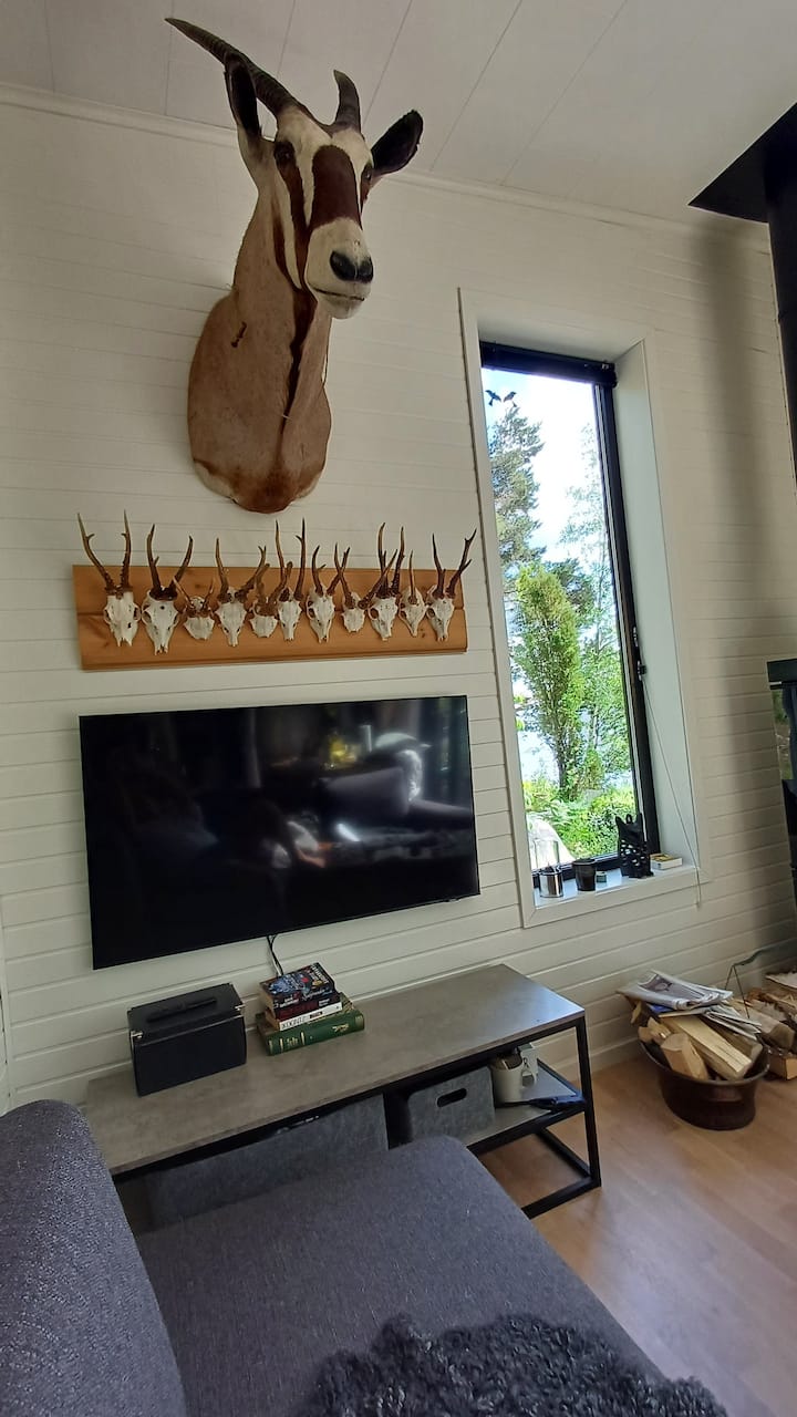 52"LED-ტელევიზორი, კუთხის დივანი, ხედი ტბაზე