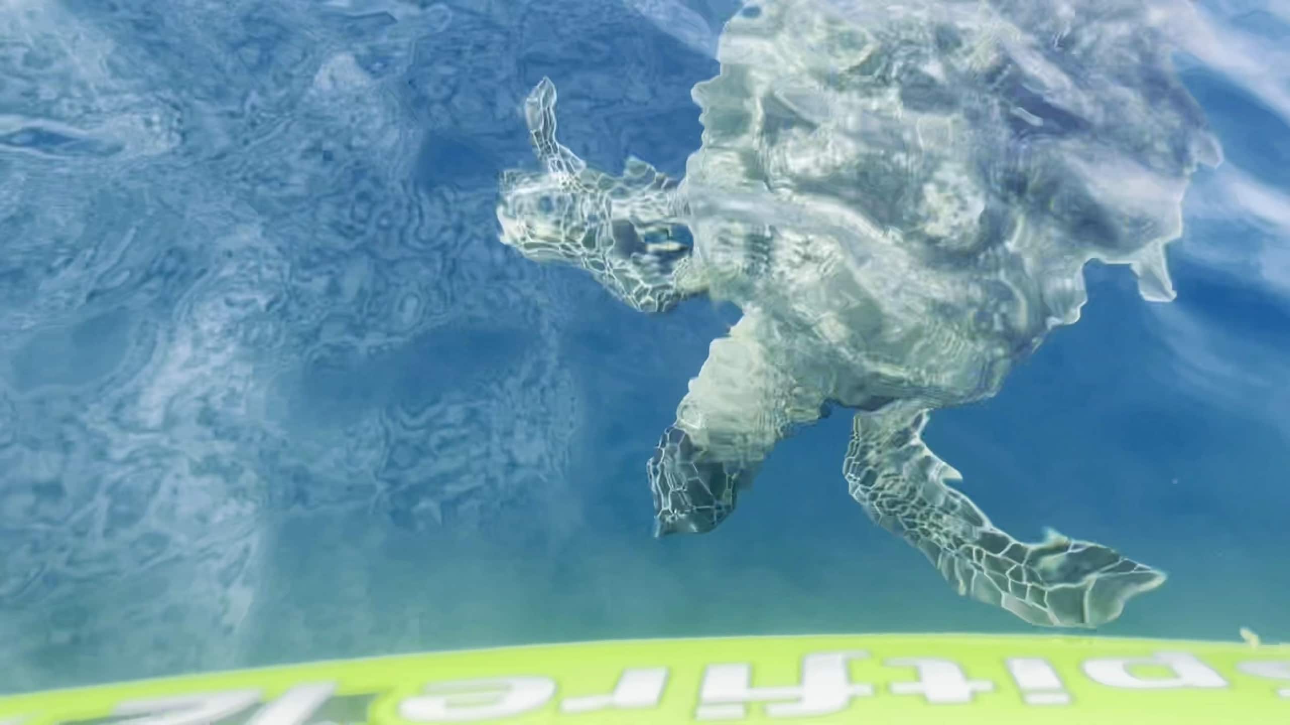 Home in Lahaina · ★5.0 · 3 bedrooms · 4 beds · 4 shared baths - Image 123